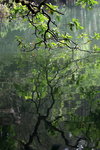 IMG_7381.jpgq.jpgs
