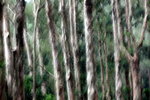 IMG_7463.jpgq.jpgs