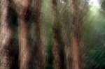IMG_7467.jpgq.jpgs