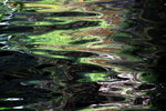 IMG_7485.jpgq.jpgs