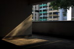IMG_6901.jpgs