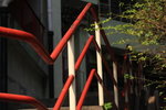 IMG_6924.jpgs