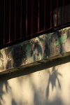 IMG_6955.jpgs