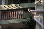 IMG_6964.jpgs