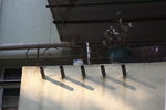 IMG_6965.jpgs