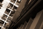 IMG_6974.jpgs