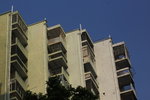 IMG_6976.jpgs