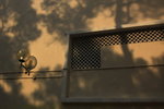IMG_7003.jpgs