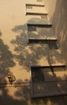 IMG_7010.jpgs
