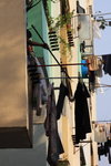 IMG_7012.jpgs