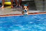 IMG_6178rs