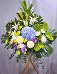 Sym028
$680