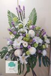 Sym006 HK$850.00