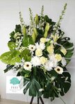 Sym021 HK$800