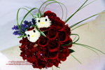 _MG_7594s
