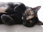 ?? -DSC08489i
