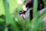 IMG_2791i
