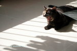 IMG_3281i