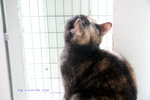 IMG_3293i