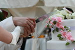 IMG_1651_resize