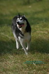 IMG_9461.jpga.jpgi