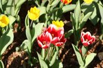 IMG_1638