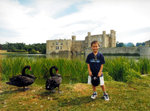 Black Swans