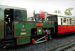 Snowdon Train