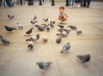 Michael feeding Pigeon.