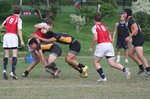 IMG_8184