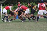 IMG_8193