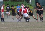 IMG_8228