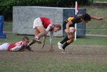 IMG_8260