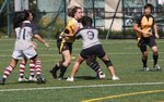 _MG_9378