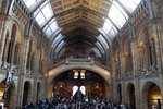 History Museum