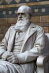 da Vinci