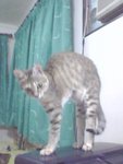 IMG0015A