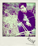 pola3