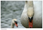 IMG_7805