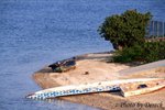 IMG_0052