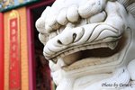 IMG_3766