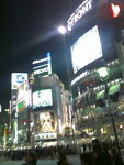 IMAGE_313