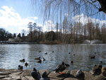 IMG_0039