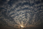 IMG_5920