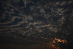 IMG_5938