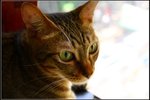 IMG_0696