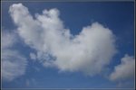 IMG_9881