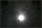 IMG_9904