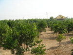 DSC00028