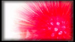 CSC_0091
